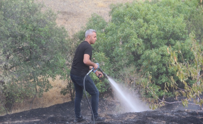 Elazığ’da bahçe yangınında 20 dönüm alan zarar gördü