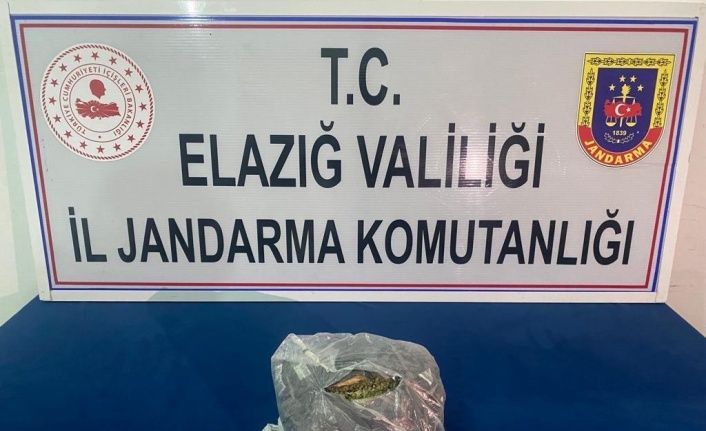 Jandarma uyuşturucu tacirlerine geçit vermiyor: 2 tutuklama