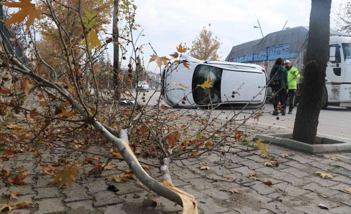 Elazığ’da ağaca çarpan otomobil yan yattı: 1 yaralı