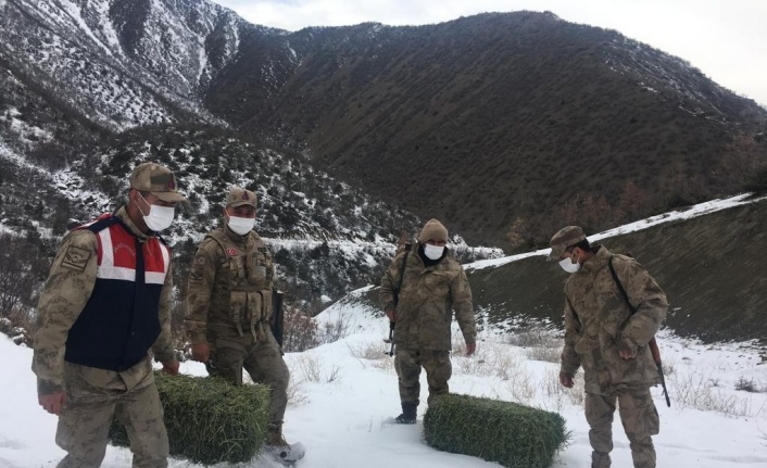 Elazığ’da jandarma, yaban hayatı için doğaya yem bıraktı