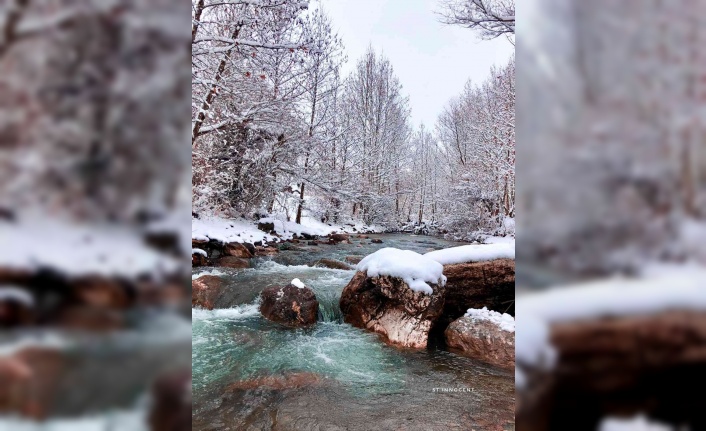 Mirvan Çayı, dört mevsim farklı güzelliğiyle göz kamaştırıyor